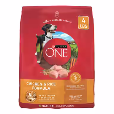 Purina ONE Chicken & Rice Formula