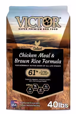 VICTOR Gluten-Free Chicken Meal & Brown Rice Formula