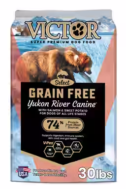 VICTOR Grain-Free Yukon River Canine with Salmon High Protein