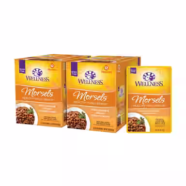 Wellness Complete Health Healthy Indulgence Morsels with Chicken & Salmon in Savory Sauce