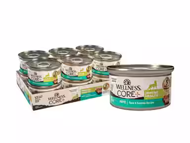 Wellness CORE+ Immune Health Tuna & Salmon Natural Grain-Free Pate